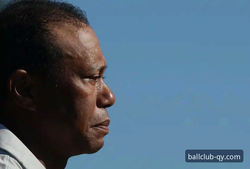 揭秘老虎伍兹药驾撞车全记录：高尔夫传奇背后的灰色地带